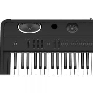 Roland FP-90 Digital Piano (Black)