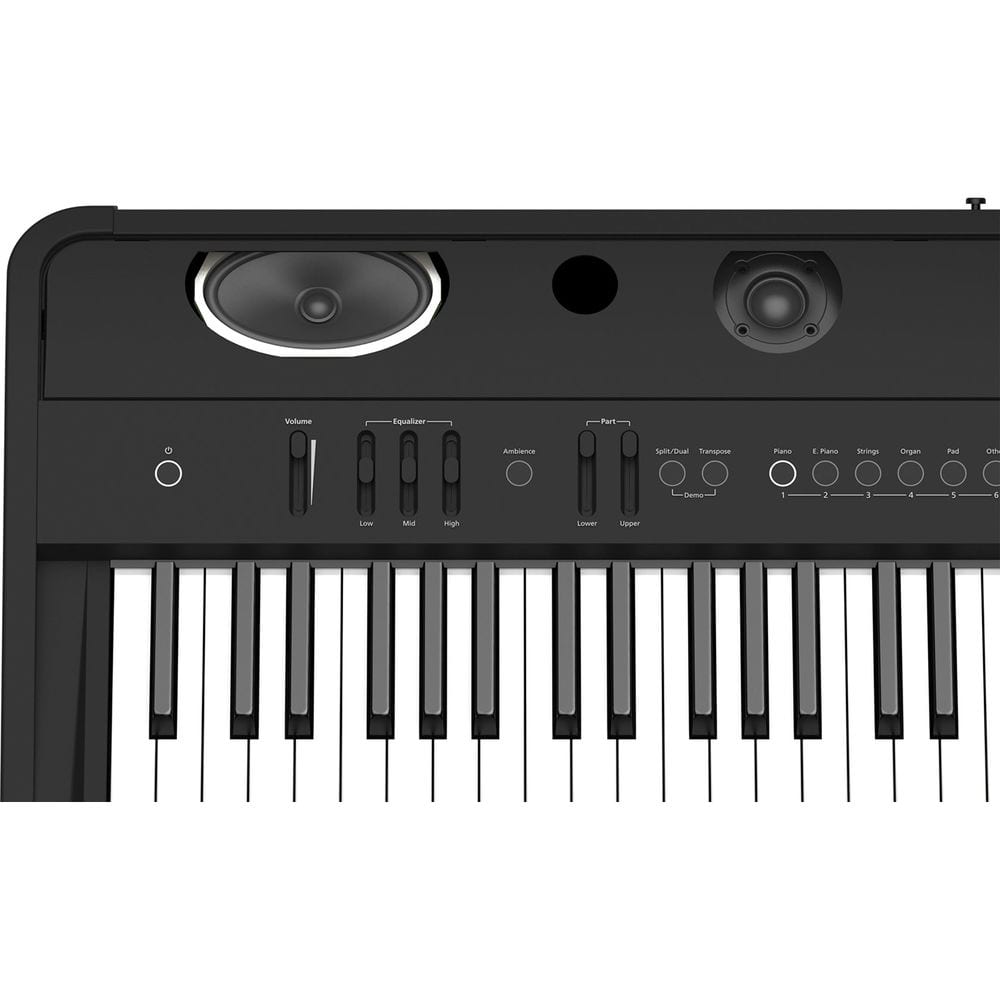 Roland FP-90 Digital Piano (Black)